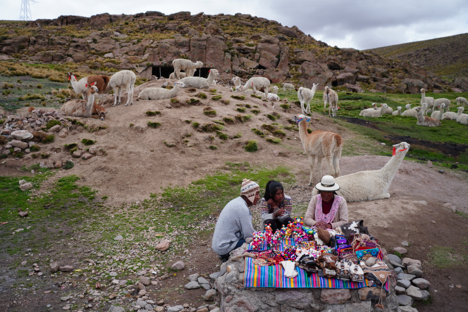 Peruvian artisans selling textiles with alpacas in the highlands